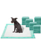 WizSmart All Day Dry Dog Pads Super 50 Count 3 Pack
