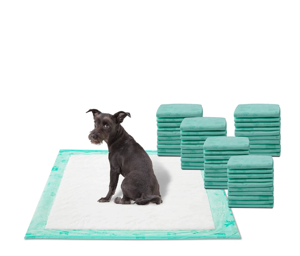 WizSmart All Day Dry Dog Pads Super 50 ct 3 ct - Pets Perfect