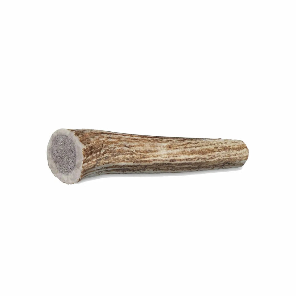 Whole Antler Dog Chew, view 7