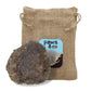 Dipped Button Antler Chew