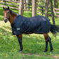 Horse wearing TuffRider Kozy Komfort Two Stable Blanket-420 D 200 GSM of fill- Black- 69 in grassy outdoor setting