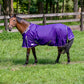 Horse wearing TuffRider Comfy-Fit Medium Weight Standard Neck Turnout Blanket w/ Adjustable Neck Opening- 1200D, 200 GSM- Purple- 84 outdoors