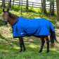 TuffRider Comfy-Fit Medium Weight Standard Neck Turnout Blanket w/ Adjustable Neck Opening- 1200D, 200 GSM- Purple- 84 on horse outdoors