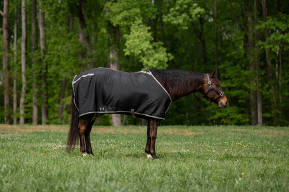 Horse wearing TuffRider Shelter Closed Front Stable Sheet-Black/Grey-68 standing in grassy field with trees background