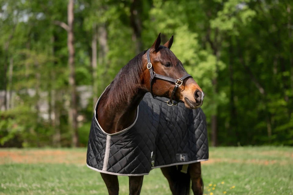 TuffRider Shelter Closed Front Medium Weight Stable Blanket-Black/Grey, view 11