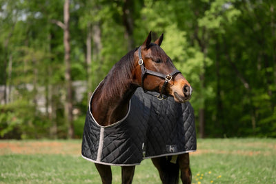 TuffRider Shelter Closed Front Medium Weight Stable Blanket-Black/Grey