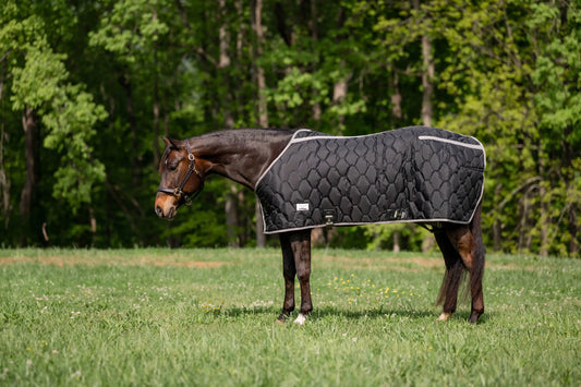 TuffRider Shelter Closed Front Heavyweight Stable Blanket-Black/Grey-72