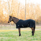 Horse wearing TuffRider Waffle Weave Cooler Standard Neck-Navy-69 standing in green pasture with bare trees background