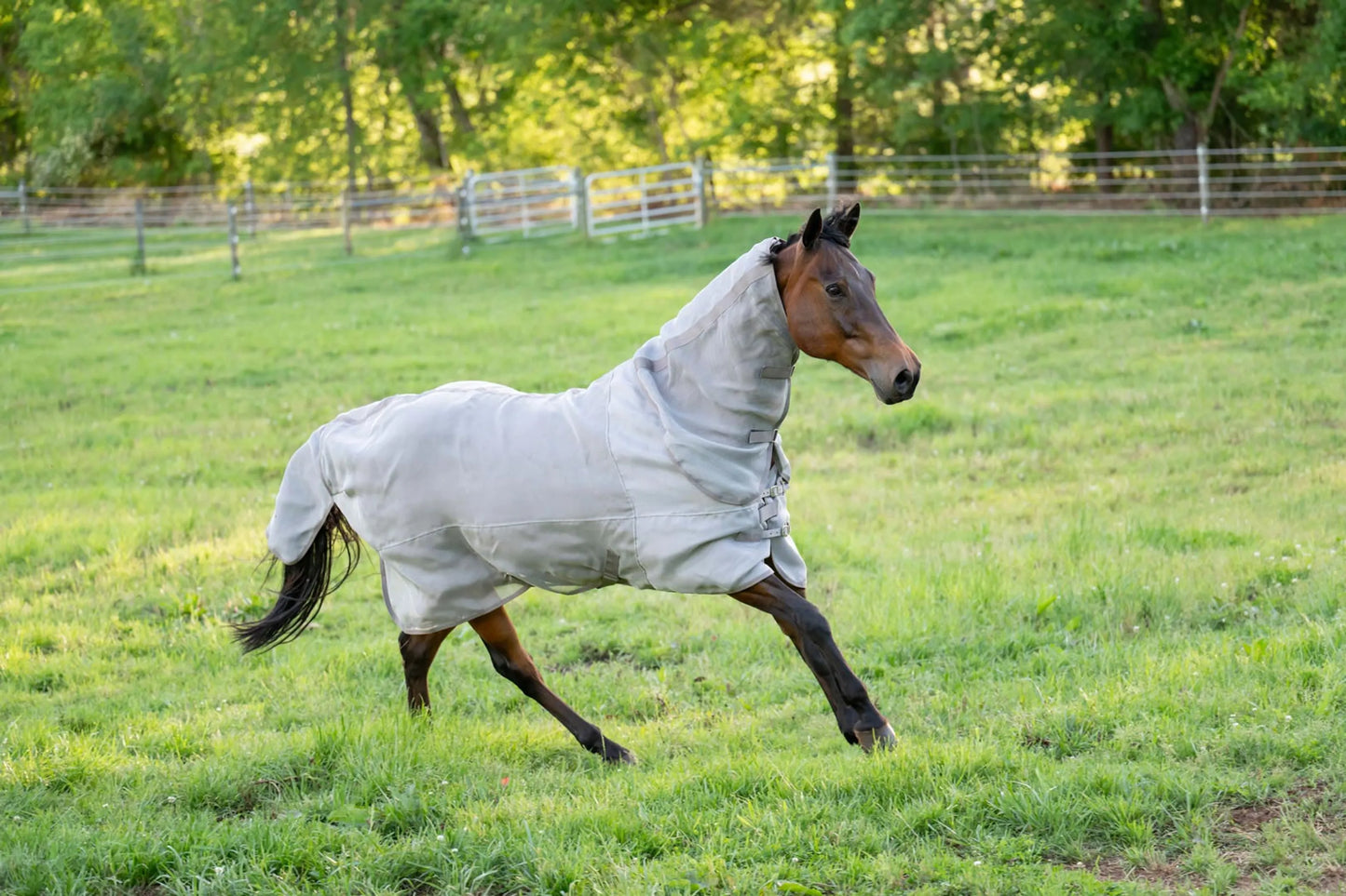 TuffRider NevaTear Technical Combo Neck Fly Sheet-Silver-69