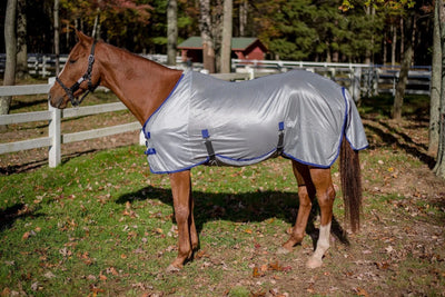 TuffRider Comfy Plus Standard Neck Fly Sheet, Quarry w/ ultramarine trim/69
