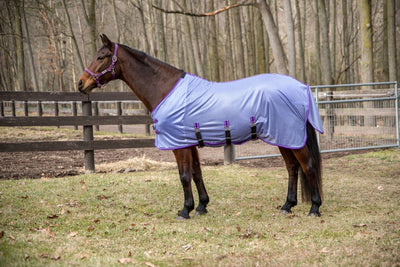TuffRider Comfy Plus Standard Neck Fly Sheet- Purple with Deep Purple