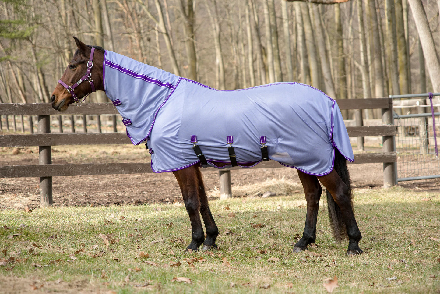 TuffRider Comfy Plus Combo Neck Fly Sheet- Purple with Deep Purple Trim- 69