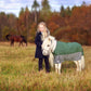 TuffRider Mini 1200D Ripstop Medium Weight 200 GSM Two Tone Turnout Blanket With Standard Neck- Hunter Green/ Grey Bottom & Trim - 36 on pony outdoors