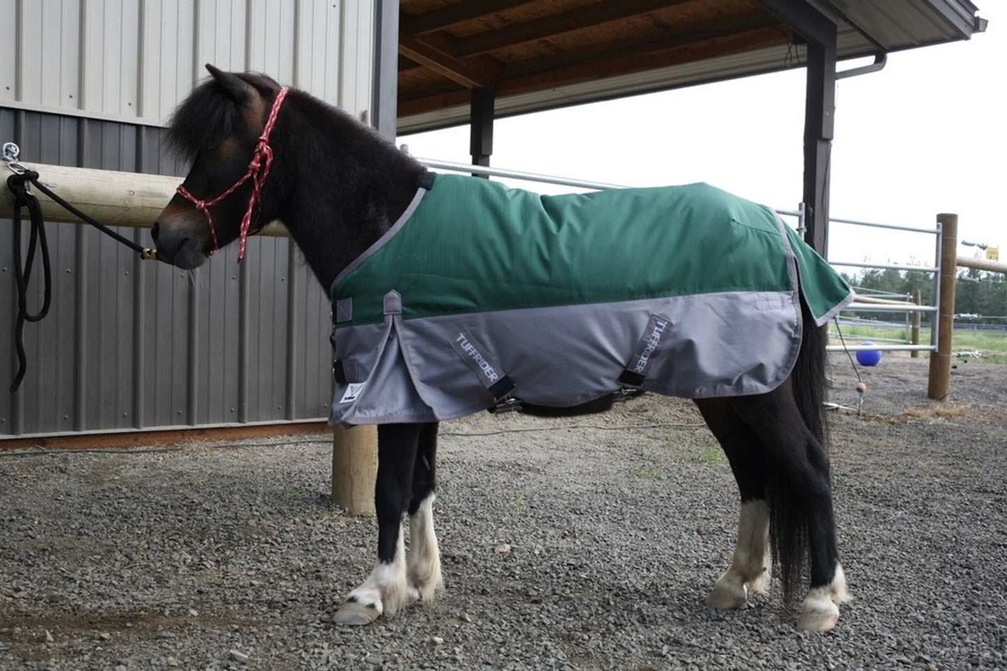 TuffRider Mini 1200D Ripstop Medium Weight 200gms Two Tone Turnout Blanket With Standard Neck on black pony in barn setting