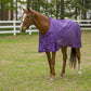 Horse wearing a purple TuffRider 1600 D Super Comfy Standard Neck Blanket in a green fenced pasture