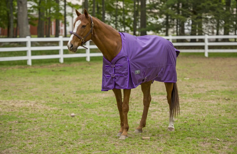 TuffRider 1600 D Super Comfy Standard Neck Blanket, view 17