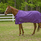 Horse wearing a purple TuffRider 1600 D Super Comfy Standard Neck Blanket outdoors in a fenced pasture