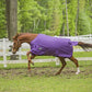 Horse wearing purple TuffRider 1600 D Super Comfy Standard Neck Blanket running in fenced grassy paddock