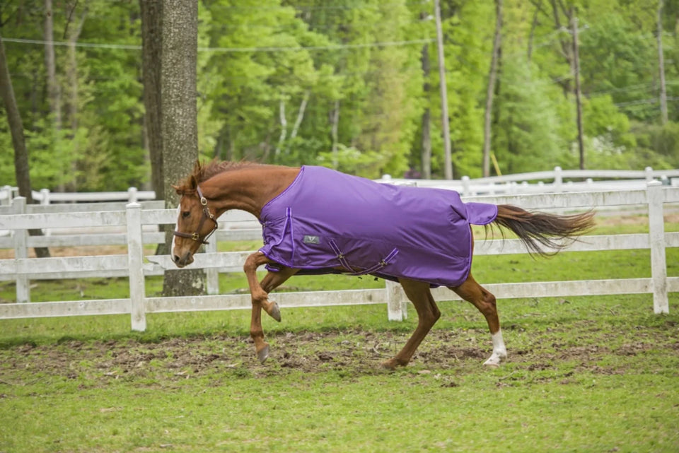 TuffRider 1600 D Super Comfy Standard Neck Blanket, view 19