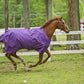 Chestnut horse running outdoors wearing a purple TuffRider 1600 D Super Comfy Standard Neck Blanket