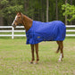 Horse standing in grassy paddock wearing a blue TuffRider 1600 D Super Comfy Standard Neck Blanket