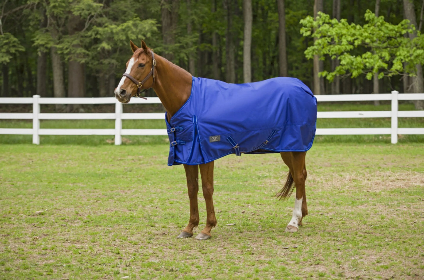 TuffRider 1600 D Super Comfy Standard Neck Blanket