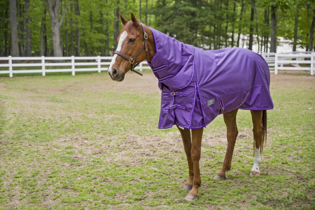 Horse wearing purple TuffRider 1680 D Super Comfy Detachable Neck Blanket in grassy paddock with white fence background