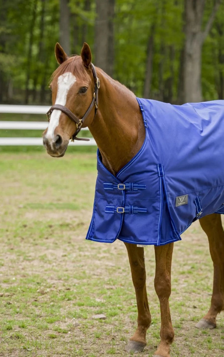 Chestnut horse wearing a blue TuffRider 1680 D Super Comfy Detachable Neck Blanket in a green pasture