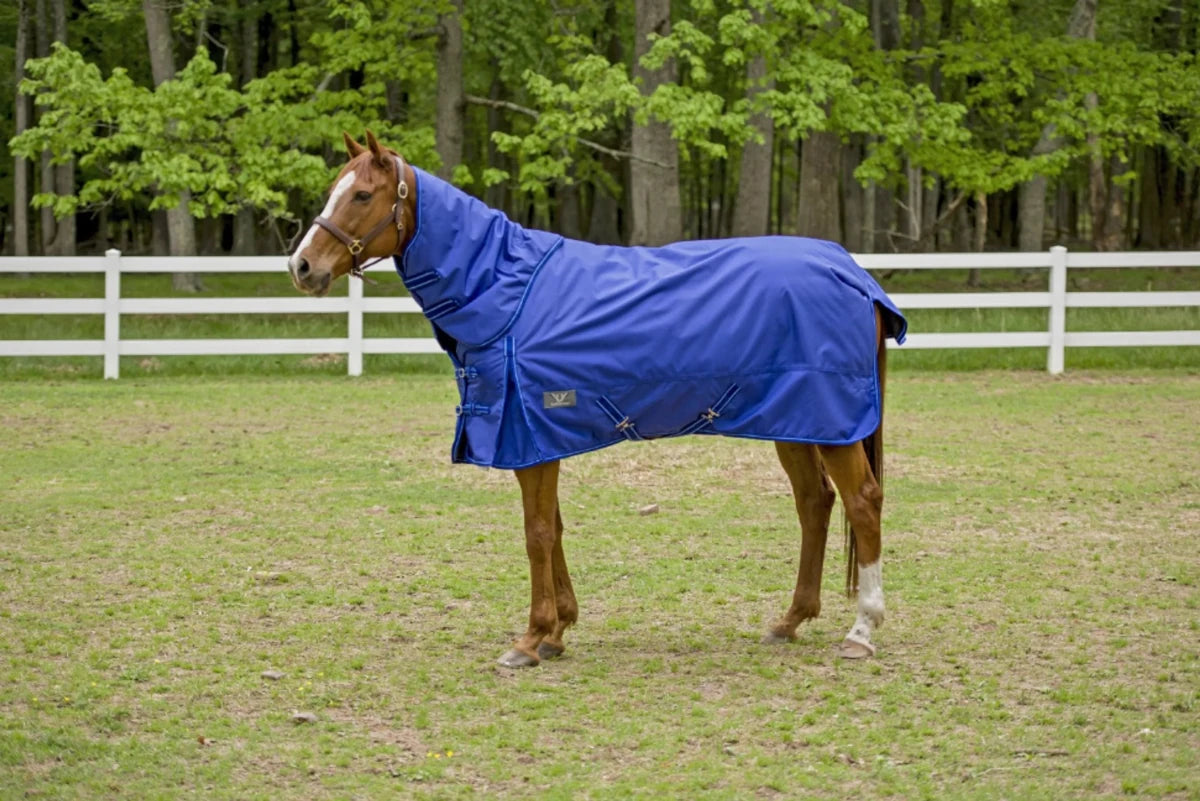 Horse wearing a blue TuffRider 1680 D Super Comfy Detachable Neck Blanket standing in grassy paddock near white fence