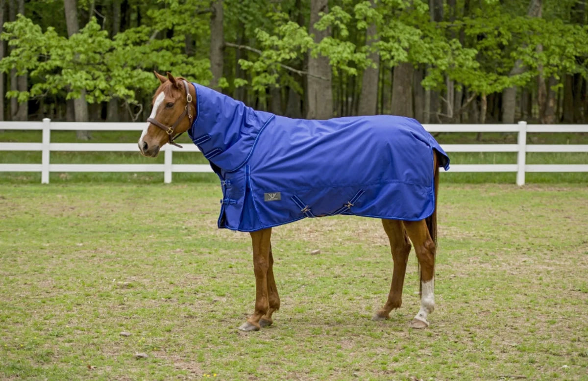 Horse wearing a blue TuffRider 1680 D Super Comfy Detachable Neck Blanket standing outdoors by white fence and trees.