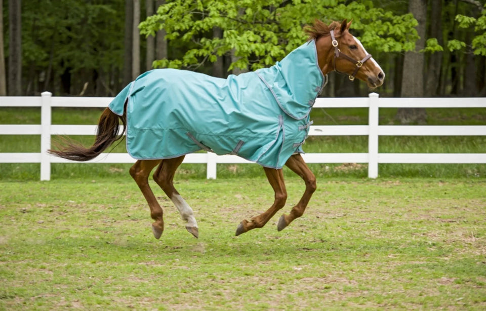 TuffRider 1200D Winter Comfy Detachable Neck Sheet, view 16