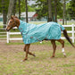 Chestnut horse wearing a turquoise TuffRider 1200D Winter Comfy Detachable Neck Sheet in an outdoor paddock
