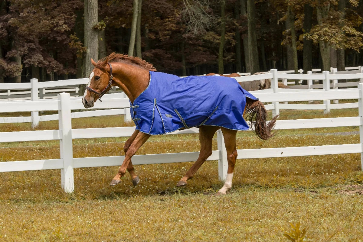 TuffRider 1200D Comfy Winter Horse Blanket - Waterproof Turnout Blanket with 200g Fill - Pets Perfect
