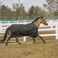 TuffRider 1200D Comfy Winter Horse Blanket - Waterproof Turnout Blanket with 200g Fill - Pets Perfect