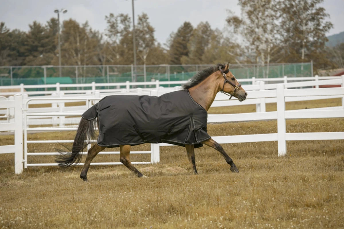 TuffRider 1200D Comfy Winter Horse Blanket - Waterproof Turnout Blanket with 200g Fill - Pets Perfect