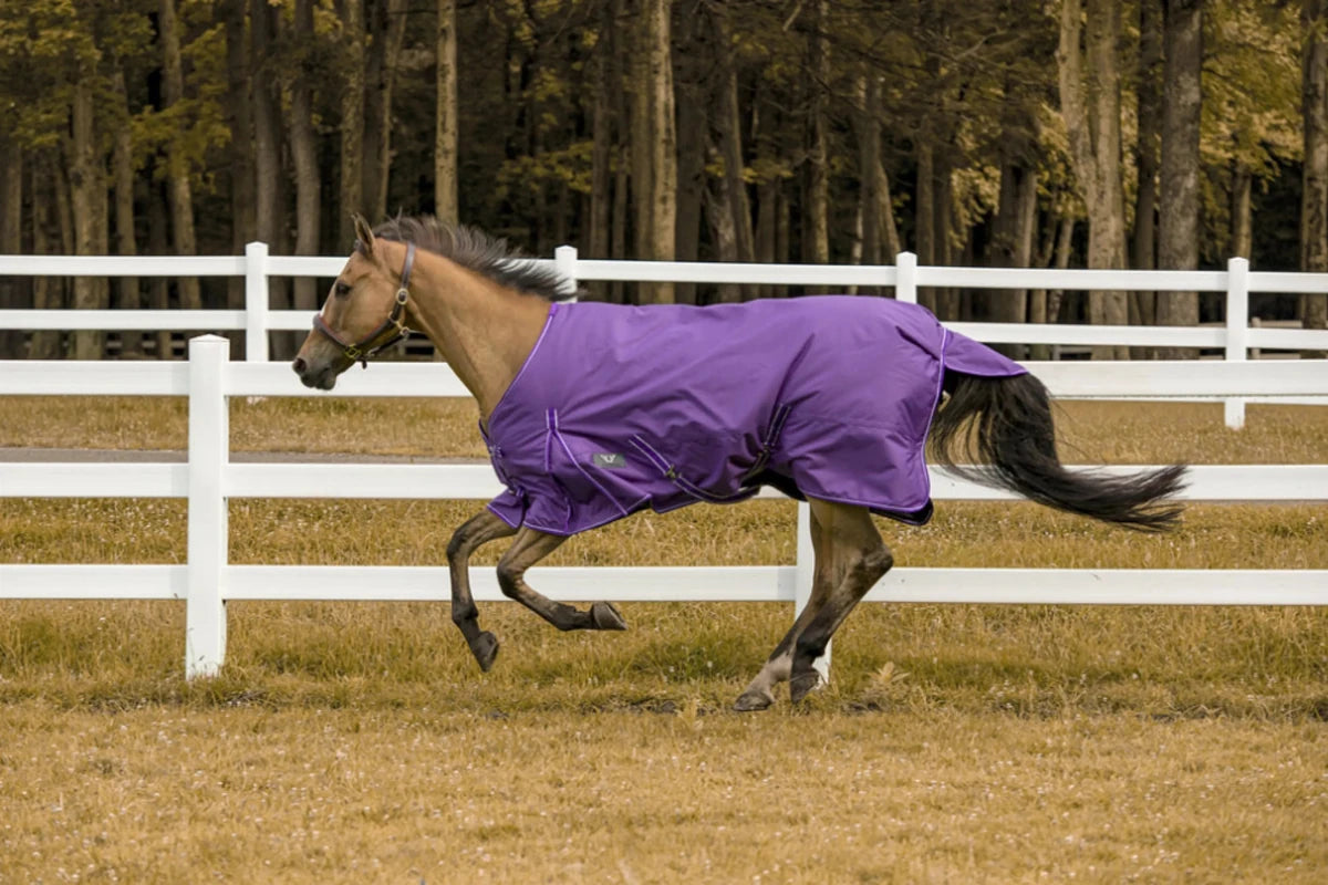 TuffRider 1200D Comfy Winter Horse Blanket - Waterproof Turnout Blanket with 200g Fill - Pets Perfect