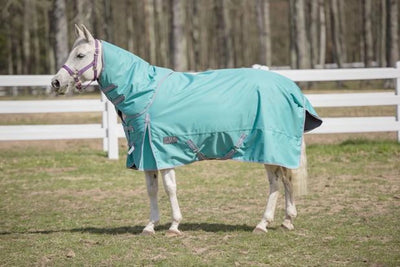 TuffRider 1200 D Comfy Winter Medium Weight Turnout Blanket with, Turquois/69