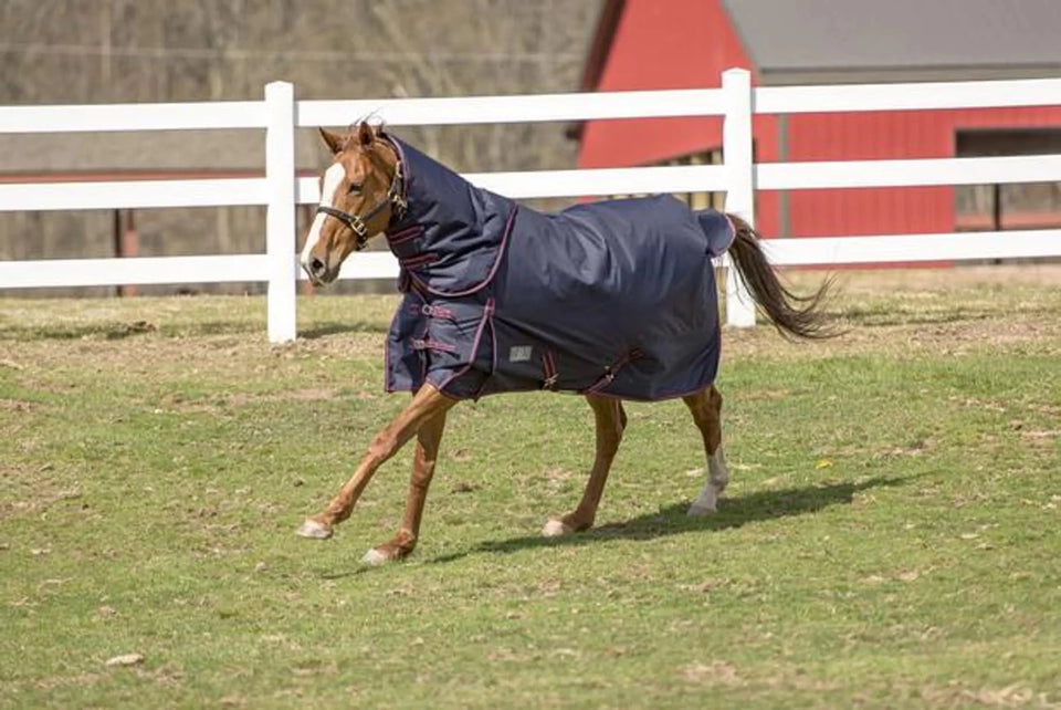 TuffRider 1200 D Comfy Winter Medium Weight Turnout Blanket with, Navy/75, view 10