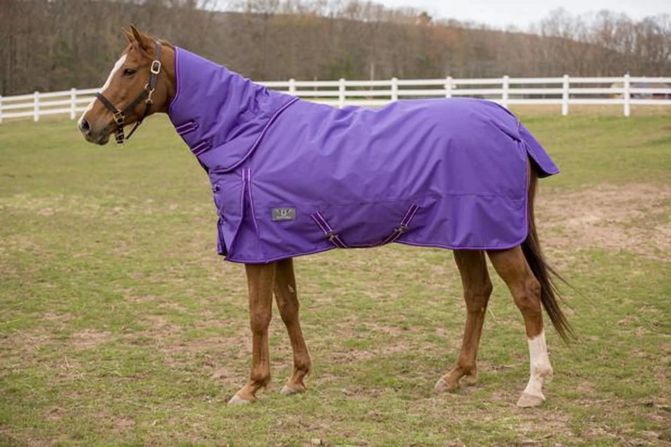 TuffRider 1200 D Comfy Winter Medium Weight Turnout Blanket with, Purple/75, view 17