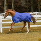 Horse wearing a blue TuffRider 600D Comfy Waterproof Winter Blanket outdoors in fenced grassy paddock.