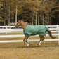 Horse running in paddock wearing a green TuffRider 600D Comfy Waterproof Winter Blanket for outdoor protection