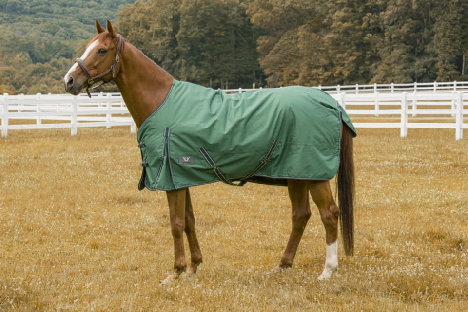 TuffRider 600D Comfy Waterproof Winter Blanket, Hunter/78, view 11