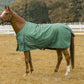 Horse wearing a green TuffRider 600D Comfy Waterproof Winter Blanket standing in a fenced grassy field