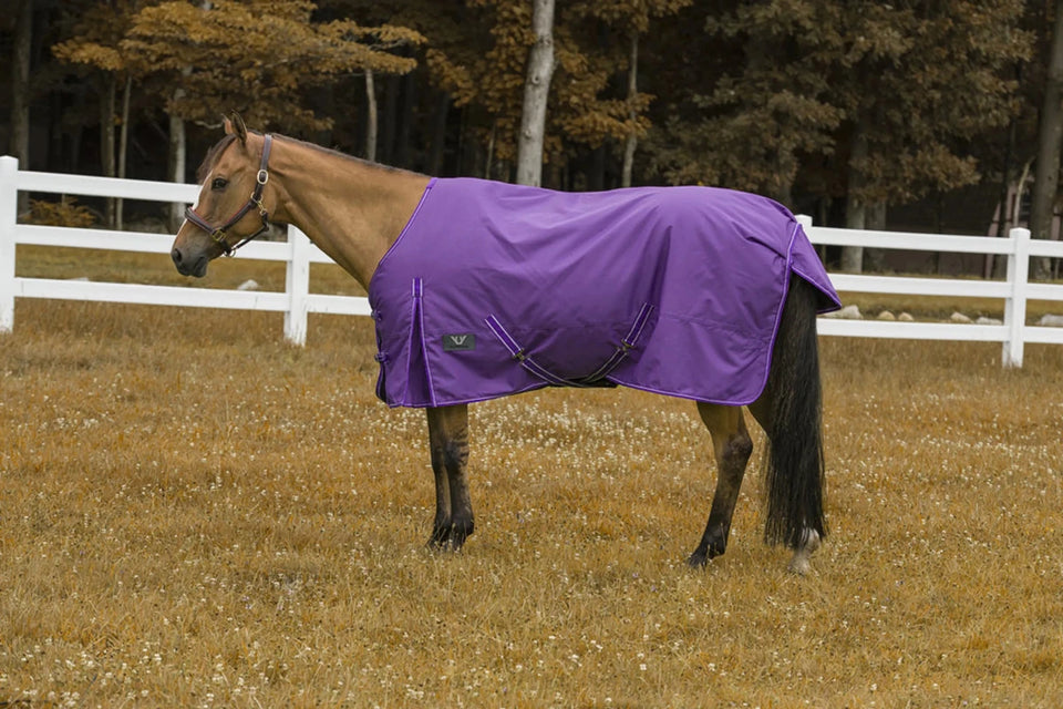TuffRider 600D Comfy Waterproof Winter Blanket, Purple/81, view 33