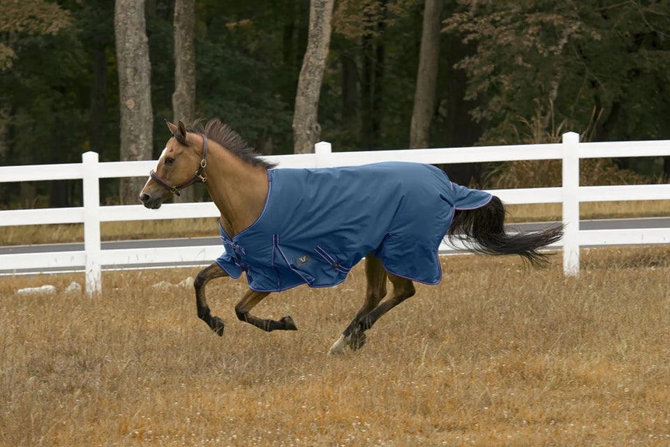 TuffRider 600D Comfy Waterproof Winter Blanket, Royal/75, view 38
