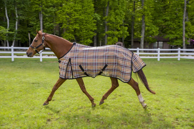 TuffRider Textelene Flyshield Sheet - Safari Plaid - 69, 1