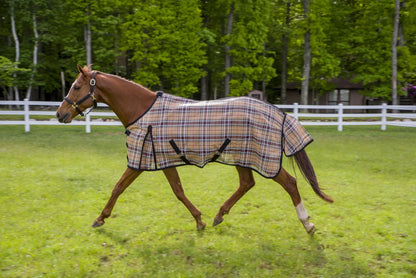 Horse wearing TuffRider Textelene Flyshield Sheet - Safari Plaid - 69 running in a grassy paddock with trees and white fence