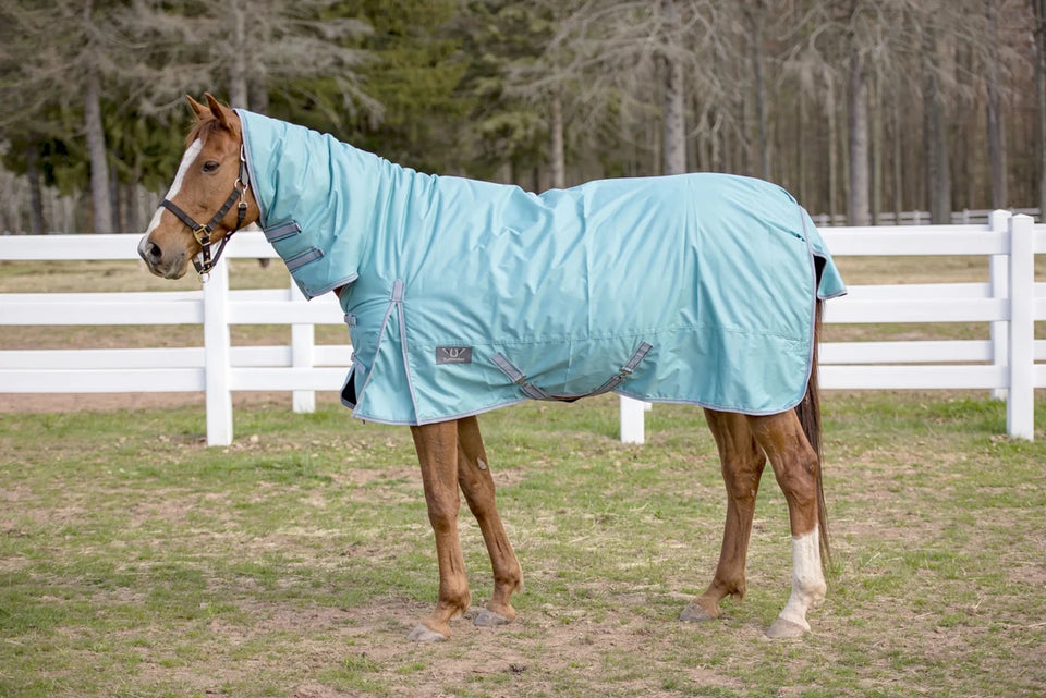 TuffRider 600 D Comfy Winter Medium Weight Turnout Blanket with Combo, Turquois/69