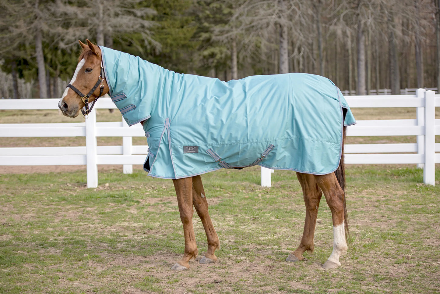TuffRider 600 D Comfy Winter Medium Weight Turnout Blanket w/ Combo Neck- 200 GSM- Turquoise- 69 on horse in outdoor paddock