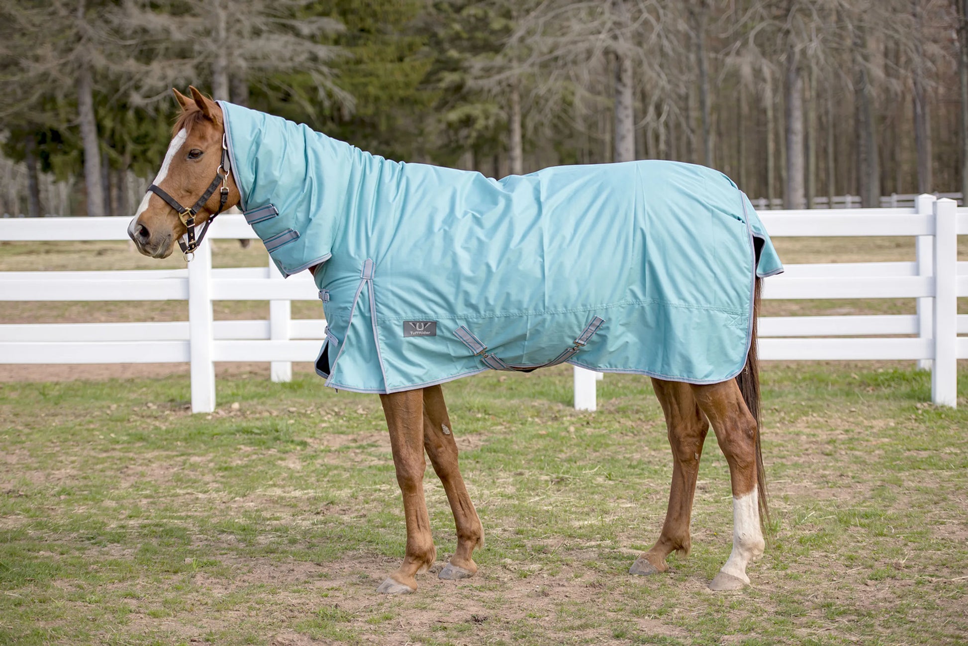 TuffRider 600 D Comfy Winter Medium Weight Turnout Blanket w/ Combo Neck- 200 GSM- Turquoise- 69 on horse in outdoor paddock